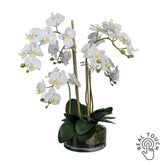 50 cm magas fehér mű orchidea Real Touch virágokkal üveg tégelyben.